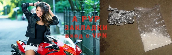 ешки Богданович