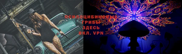 ешки Богданович
