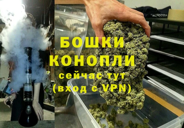 ешки Богданович