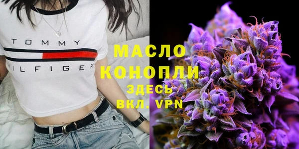 СК Богородск