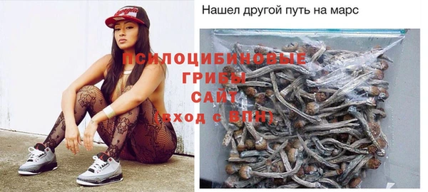 СК Богородск