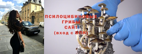 меф Белокуриха