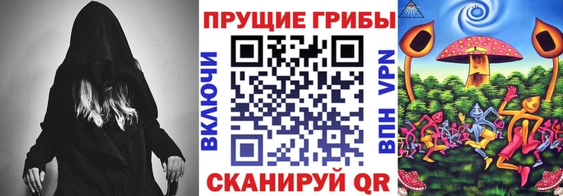 Галлюциногенные грибы Psilocybine cubensis Купить где Глазов